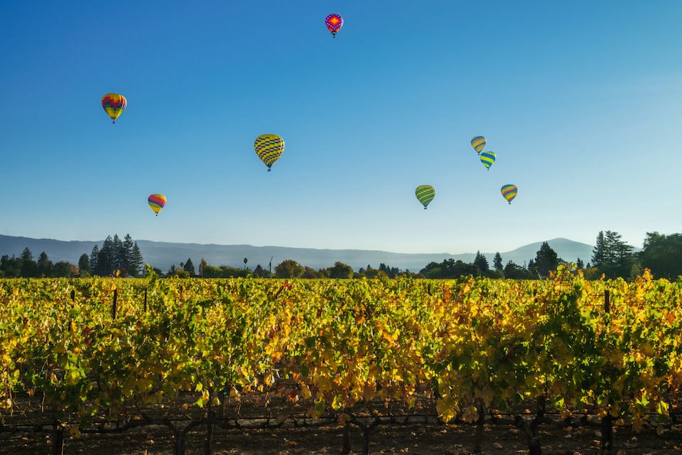 Three Perfect Days in Wine Country