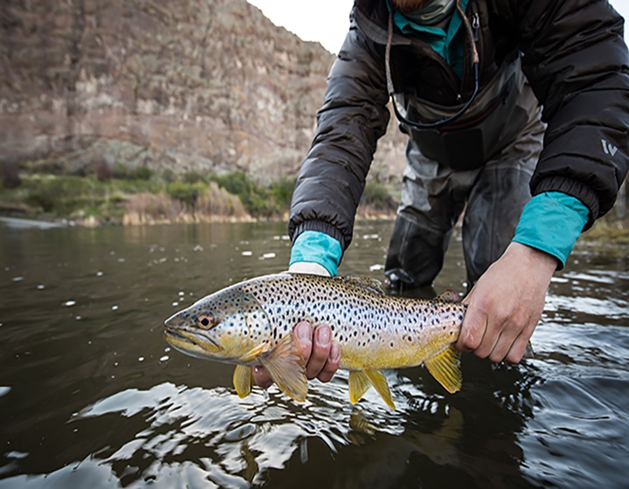 Top Fly Fishing Destinations