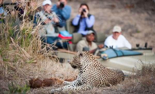 Botswana, Africa Safari