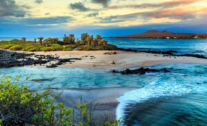 Galapagos expedition
