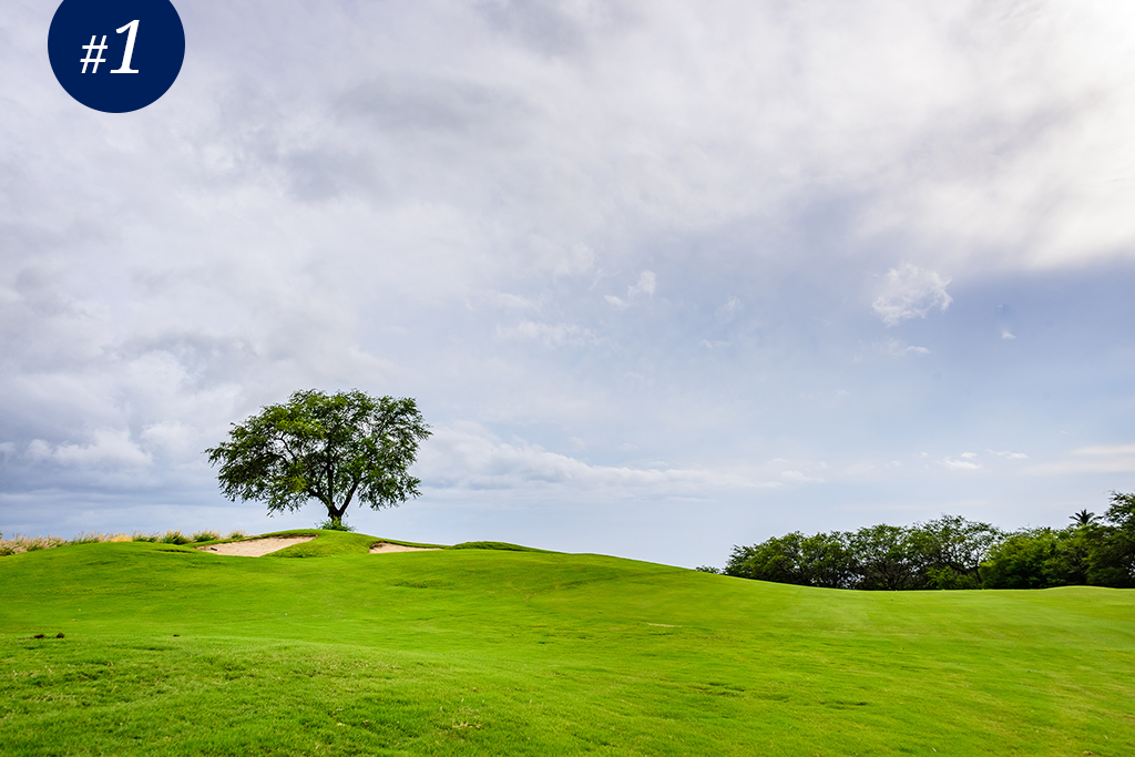 Nanea Golf Club