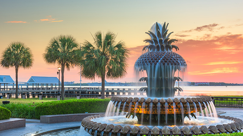 5 Must-Do Activities in Coastal Charleston