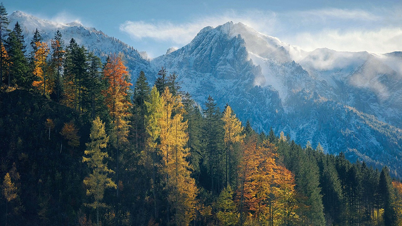 Why You Should Visit the Mountains in the Fall: Foliage, Festivals &#038; Tips